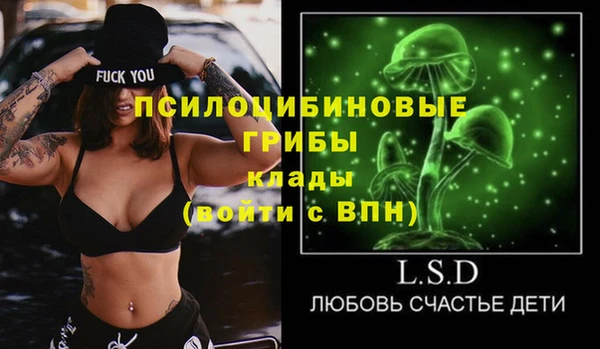 МДПВ Заволжск